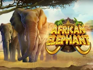 African Elephant screenshot